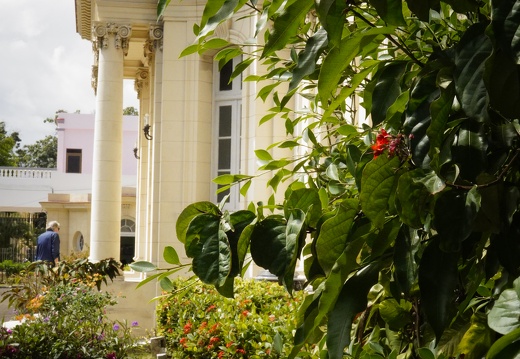 Photothèque principale